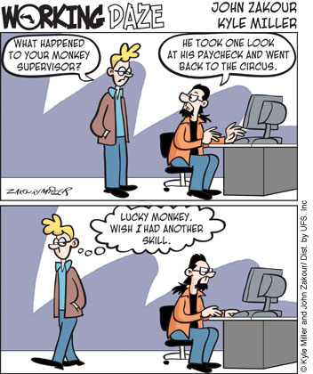 workingdaze